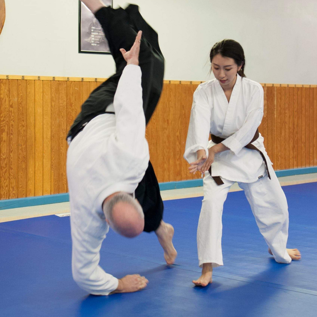 Aikido vs Knife 